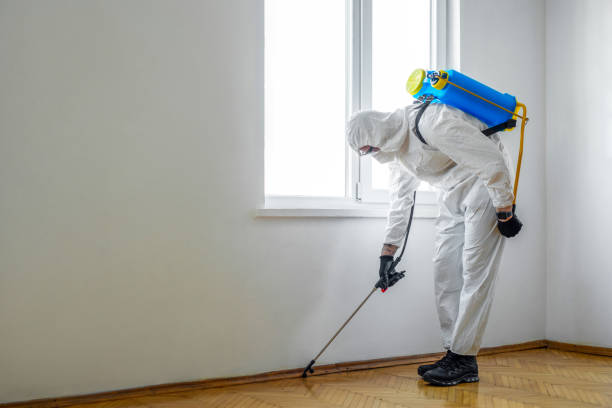 Emergency Pest Control in Bonham, TX